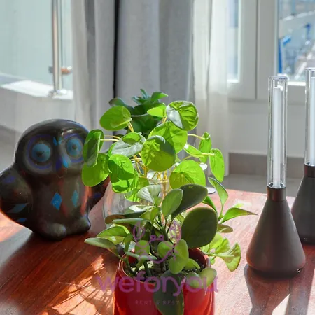 Weforyou Center Sunny & Apartment Fuengirola